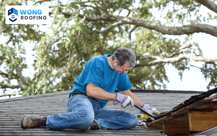 Roof Repair in Palo Alto